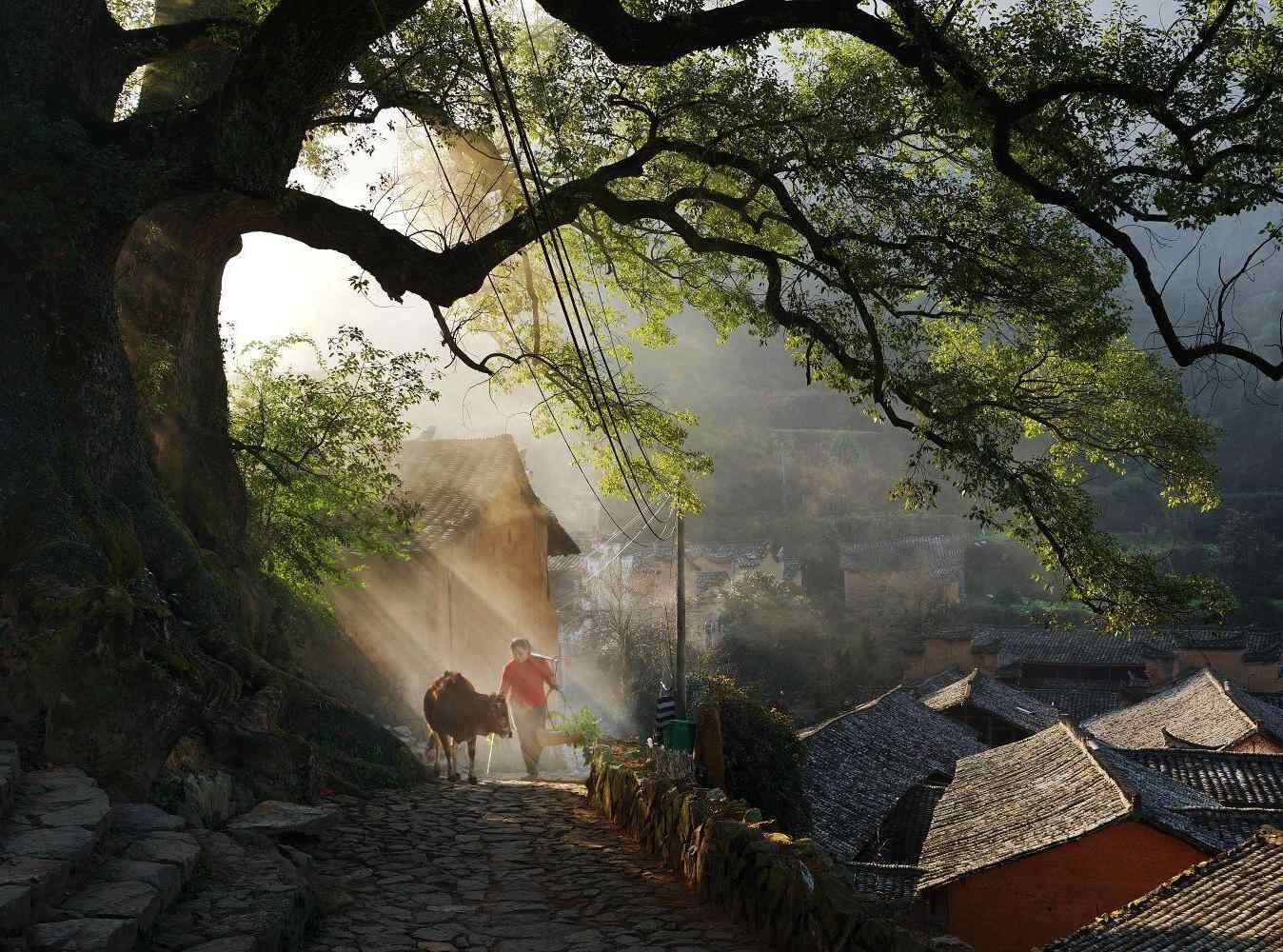  解讀松陽：古村古韻，藏在傳統村落里的流量密碼